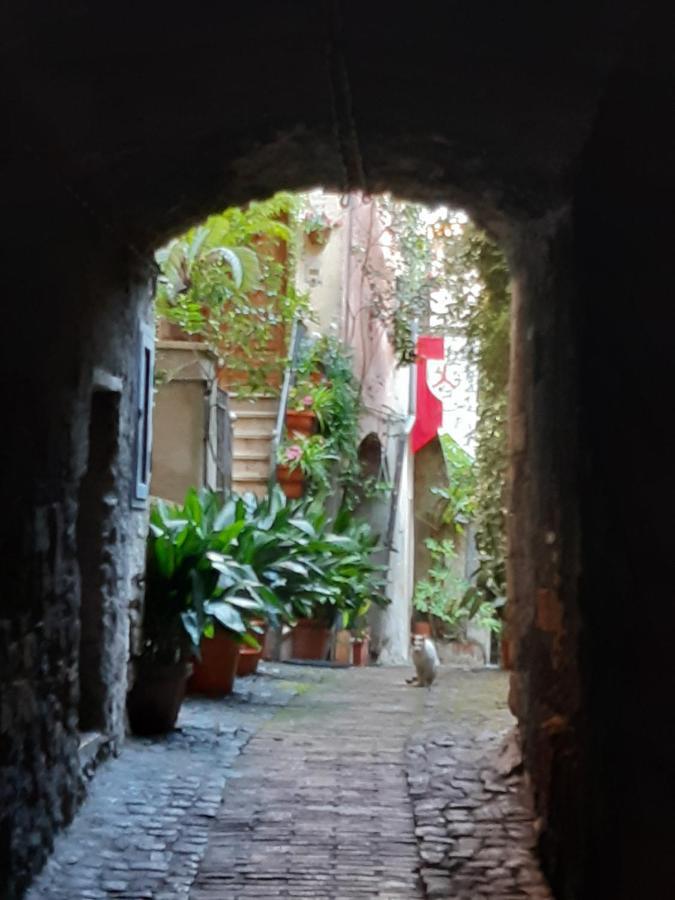 Historical Domus Apartamento Anagni Exterior foto