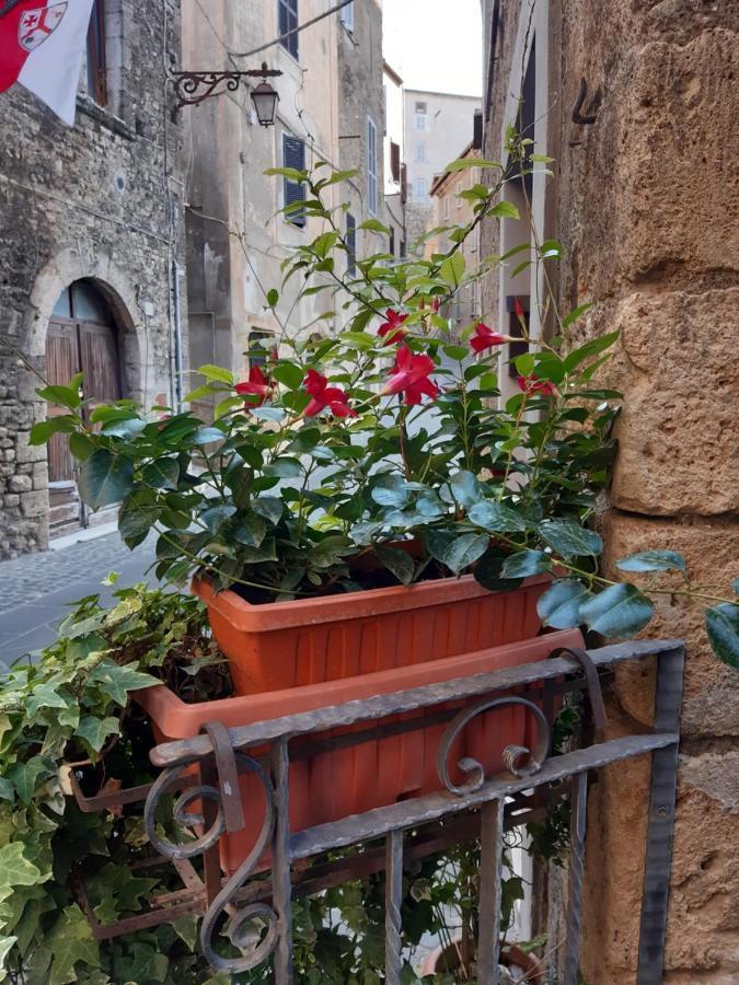 Historical Domus Apartamento Anagni Exterior foto